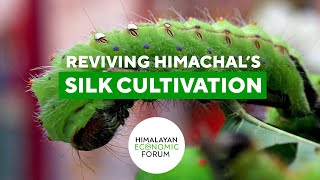 Sericulture in Himachal Pradesh | Himalayan Economic Forum