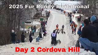 Day #2 Sled Dog Racing || 15th Cordova Hill || 2025 Fur Rondy Invitational in Anchorage Alaska