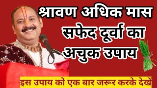 श्रावण अधिक मास में सफेद दूर्वा का अचूक उपाय| pradeep Mishra ji ke upay