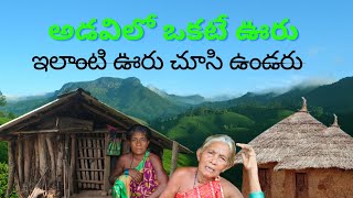 అడవిలో ఒకటే ఇల్లు || ఇలాంటి ఊరు ఎప్పుడు చూసి ఉండరు || There Is Only One Village In The Forest ||