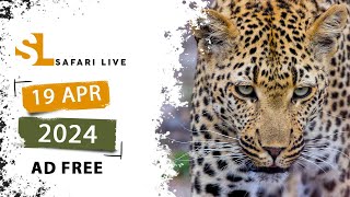 SafariLIVE Sunrise Safari - 19  April 2024 - AD FREE