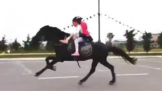 Girl with Awesome Horse Riding Skills