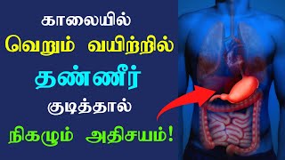 வெறும் வயிற்றில் தண்ணீர் குடியுங்கள் / Health benefits of drinking water on empty stomach Tamil