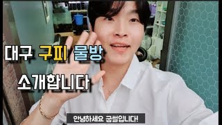 대구구피물방을 소개합니다!!!!(구피특제사료먹방,바글바글한 구피감상)