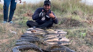 COBRA SNAKEHEAD ROCKET ATTACK 🚀 || जंगली मरल का स्पीड ऐसा😱😱