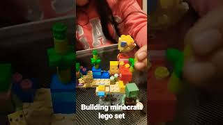 Building Minecraft Lego Set