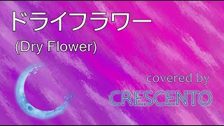 優里 -ドライフラワー (Dry Flower) covered by Crescento (中文歌詞)(歌詞付き)