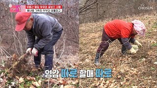 봄나물 캐러 보물창고로! 할아버지의 소원? [엄마의 봄날] 185회 20190331