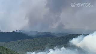 (14:10) Γιγαντιαίο το μέτωπο που έχει ξεσπάσει εδώ και λίγη ώρα στην Λεπτοκαρυά Αισύμης