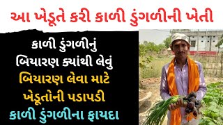 આ ખેડૂતે કરી કાળી ડુંગળીની ખેતી | કાળી ડુંગળીનું બિયારણ ક્યાંથી લેવું | ડુંગળીના ફાયદા | Black Onion