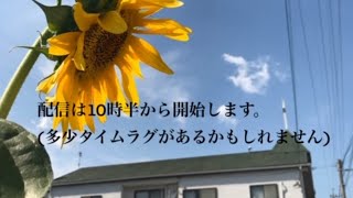 2020.4.12.イースター礼拝「あなたがたの心の目がはっきり見えるようになるように」ルカ24章1～8節