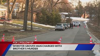 Webster Groves man charged with using hatchet to kill brother