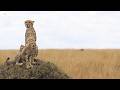 Spots, scales, and lucky strikes - SafariLIVE Sunrise - 28 May 2026