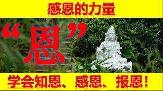 感恩的力量：学会知恩、感恩、报恩！【大播奇佛心悟禅】#心灵感悟# #人生哲理#