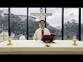 2022.7.29 主徒会.张利勇神父主祭 mandarin mass celebrated by fr joseph zhang cdd