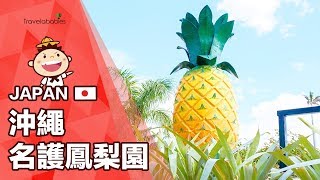 【沖繩名護鳳梨園】趣味鳳梨號遊園🍍🍍鳳梨果汁大快暢飲好沁涼