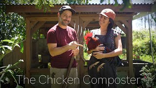 The Best and Easiest Way to Make Compost Using Chickens