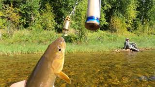 Рыбалка на хариуса и ленка в сентябре 2021 #1.  4K. Fishing on a mountain river in September 2021.