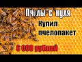 Пчёлы с нуля. Покупаю пчелопакет