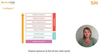 Wound Club Online | Modul 1: Huden (5 minuter)