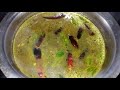 வெந்தய ரசம் செய்வது எப்படி vendhaya rasam recipe vendhaya rasam in tamilnadu style