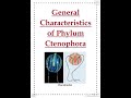 general characteristics of phylum ctenophora ll zoology