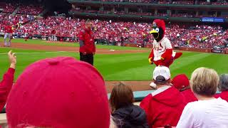 Up Close Seats View At STL Cardinals Game At Busch Stadium 2016