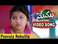 Poovula Rekuila Video Song || Memu Movie Video Songs || Surya, Amala Paul