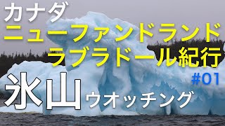 カナダ、ニューファンドランド＆ラブラドール紀行 #01