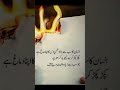 quotes funnyqoutes urdu poetry urdupoetry explore viralvideo funny youtubeshorts urduquote