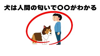 犬の面白い雑学3