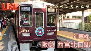 LIVE 阪急神戸線 西宮北口駅/2021.10.30【nyantegra】