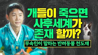 반려견이 죽으면 강아지들도 사후세계가 있을까!?🐶 무당이 직접 말하는 반려동물 천도재에 대한 소신발언 /별상도령 010 2309 0656(시흥점집)[더샤머니즘]