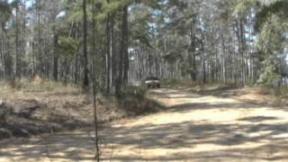 The final phase and field training exercise in the Army Reconnaissance Course