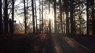 埼玉県 林道 城峰線（行き止まり）