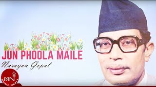 Narayan Gopal | JUN PHOOL MAILE "जुन फूल मैले" | Superhit Nepali Song | Nepali Adhunik Song