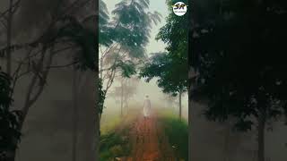 শীতের সকাল। ভোরের কুয়াশা। #shortviral #viralvideo #islam #mijanur_rahman_ajhari #vorershishir