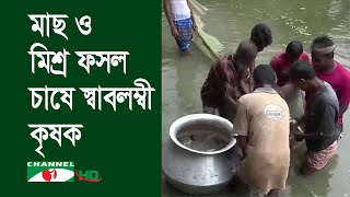 কুড়িগ্রামে মাছ ও মিশ্র ফসল চাষে স্বাবলম্বী কৃষক