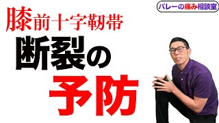 長岡選手の【前十字靭帯断裂】から予防とストレッチを考えてみる！