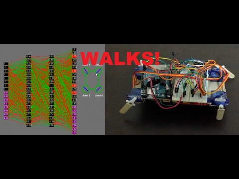 Robot learns to walk with neural networks