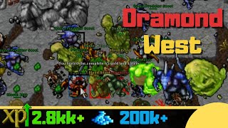 EK 200+ Oramond West [Where to hunt Solo knight]