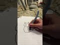 drawing a cat with the wave effect