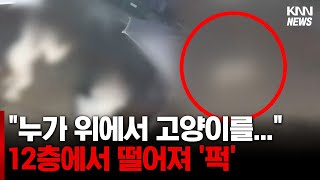 누군가 12층에서 고양이를 떨어뜨렸다...?