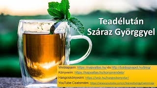 Az egyiptomi hieroglifek, az istenek nyelve, galaktikus kommunikáció (Teadélután Száraz Györggyel)