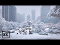 Snowstorm in Downtown Vancouver❄️Snowy Walk in Winter 2024【4K HDR】BC Canada (Sounds Of Snowfall)