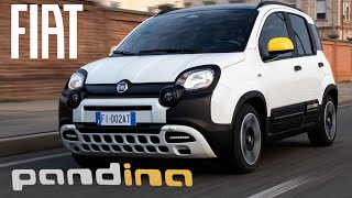 New 2024 Fiat Pandina is the Most Technological Ever