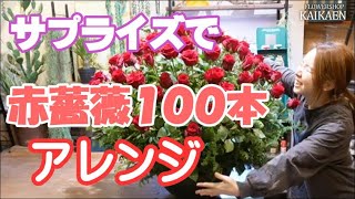 赤薔薇　１００本　アレンジ　サプライズ　おすすめ　挿すときの　ポイント　教えます　一発勝負【おうちでガーデニング】開花園チャンネル