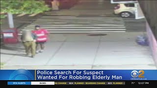 Caught on video: 85-year-old robbed in East Harlem