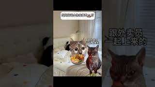 当妈妈误会你在家吃💩后（仅供娱乐 请勿当真） #喵不可言 #cat #funny #喵 #喵星人 #猫meme #猫meme小剧场 #shorts