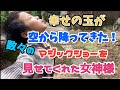 風の女神様からのプレゼントは、こだまちゃんを呼ぶ笛！